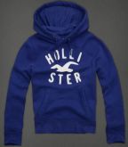 Hollister Moletom